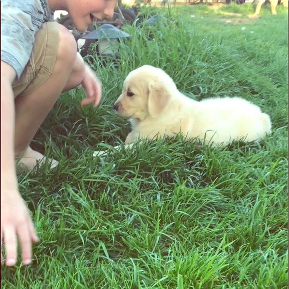 Meet your Posher, Dawn - Picture 1 of 1